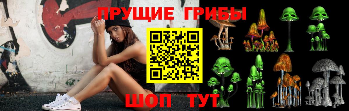 Галлюциногенные грибы ЛСД  Псилоцибиновые грибы мицелий  Вход с VPN  Кизляр 
